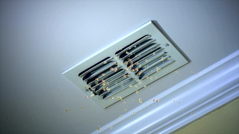 Best Affordable Duct Cleaning Services  in Chillicothe, MO
